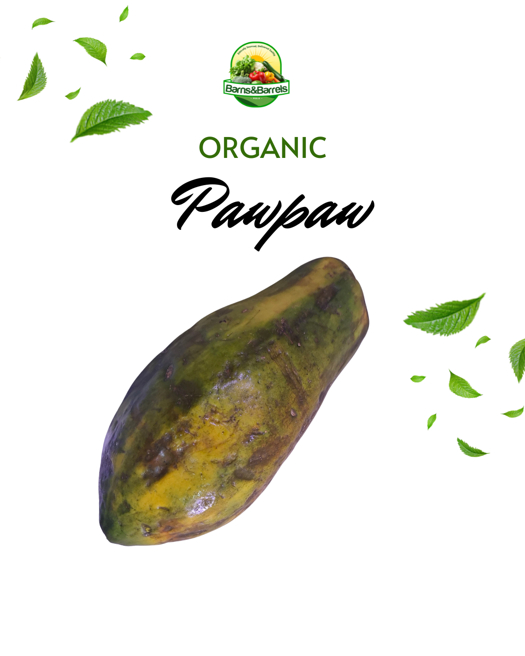Farm Fresh Pawpaw (Papaya)