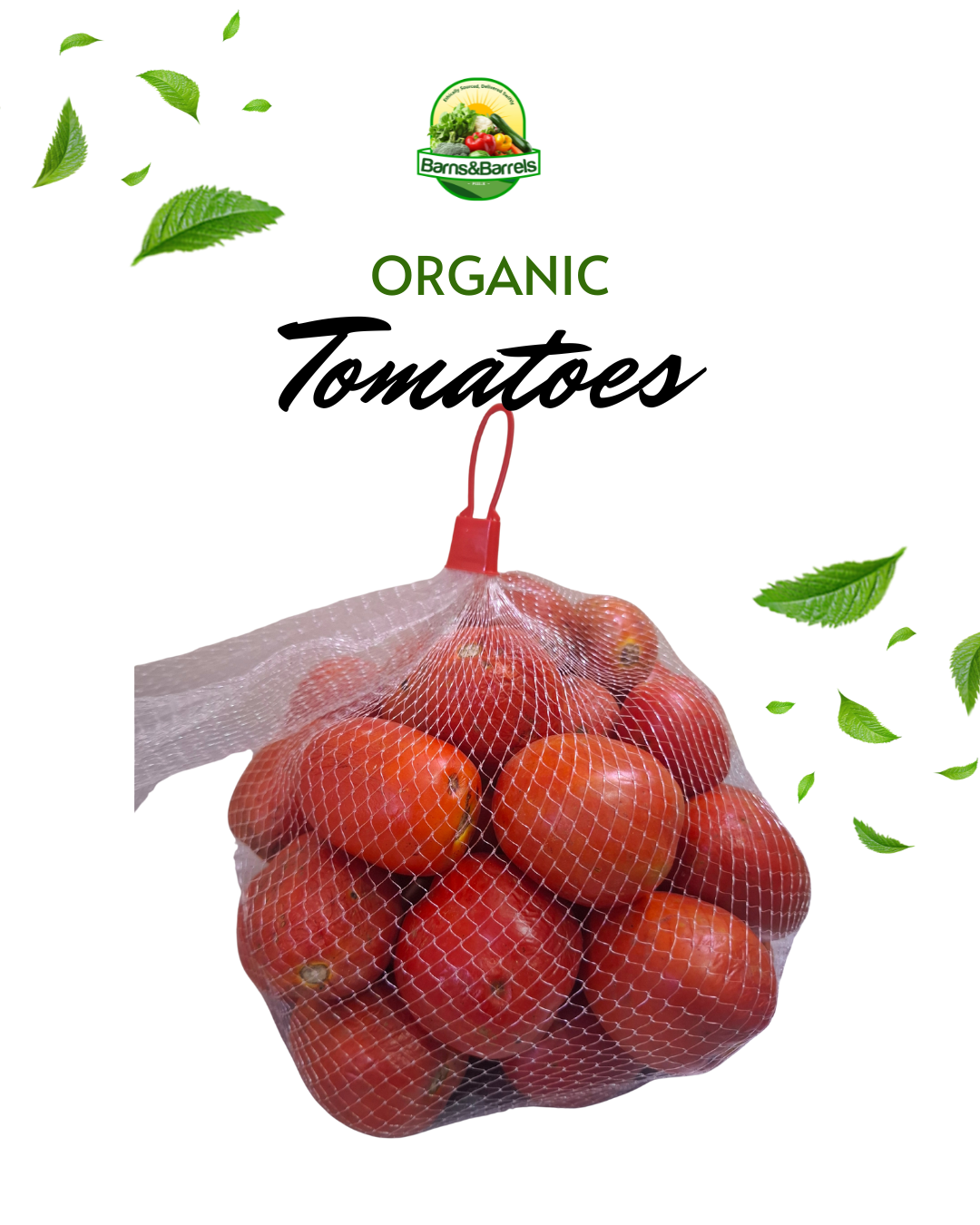 Farm Fresh Red Tomatoes