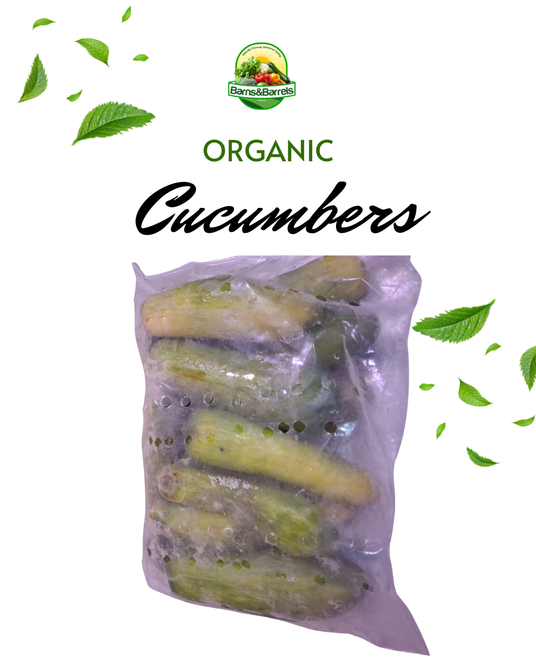 Farm Fresh Cucumbers